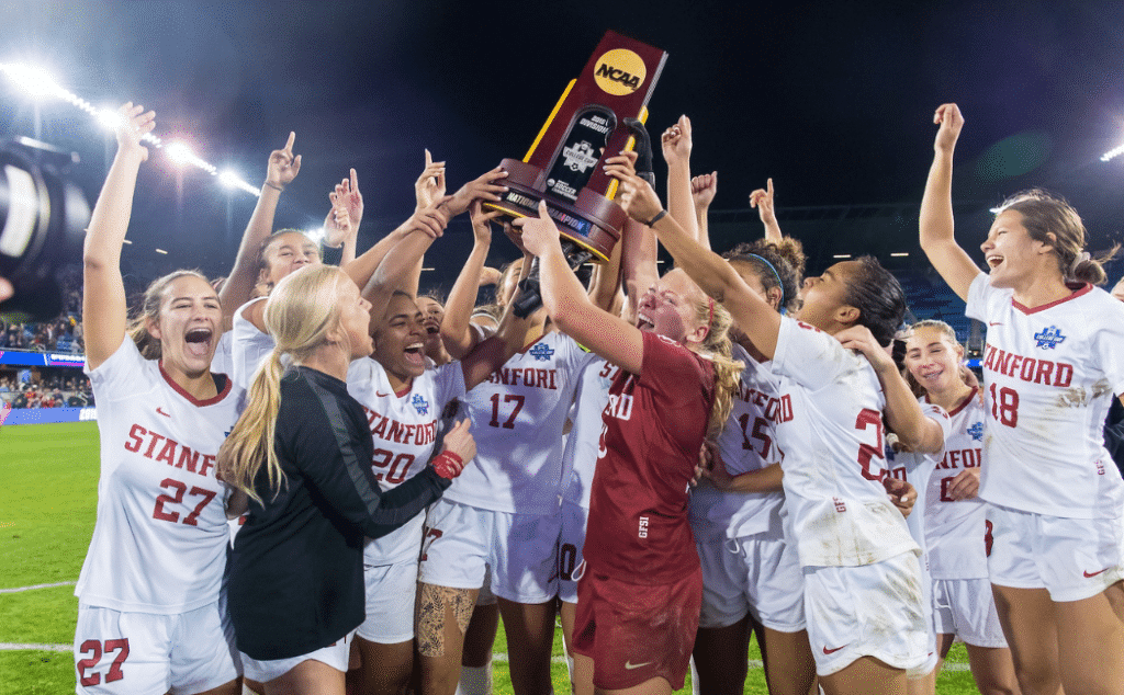 巴西的内马 巴西的内马