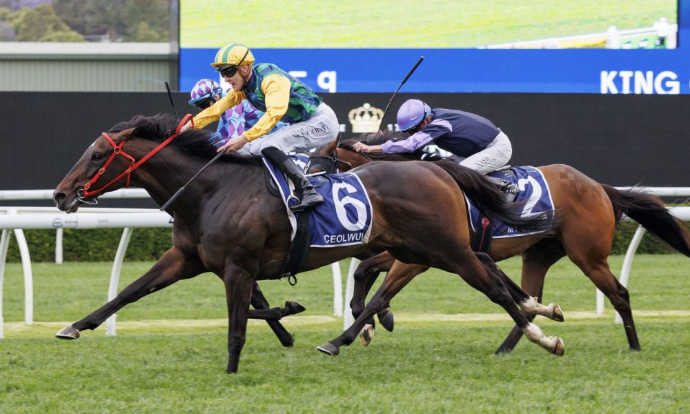 快船问题不 快船问题不