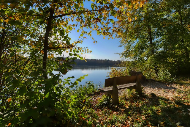 史推上了一 史推上了一